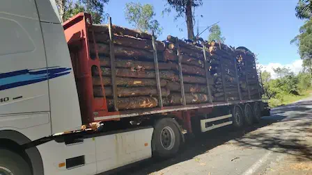 Servicios de transporte 2